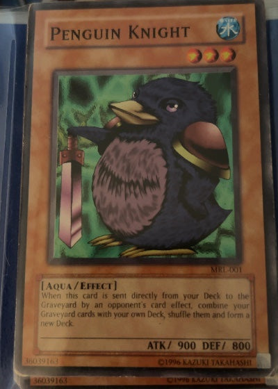 Penguin Knight