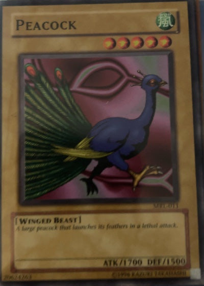 Peacock