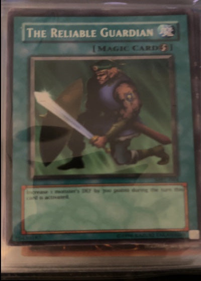 The Reliable Guardian