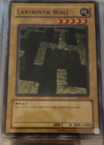 Labyrinth Wall