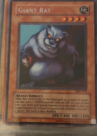 Giant Rat