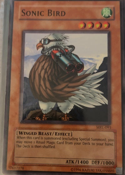 Sonic Bird