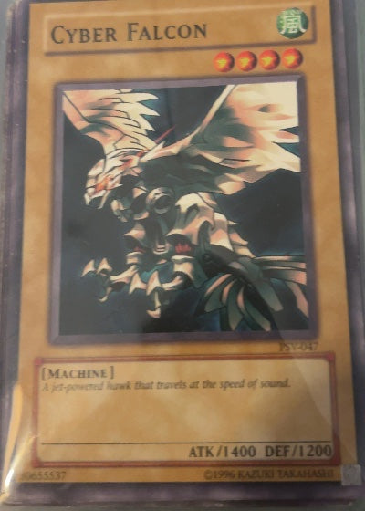 Cyber Falcon