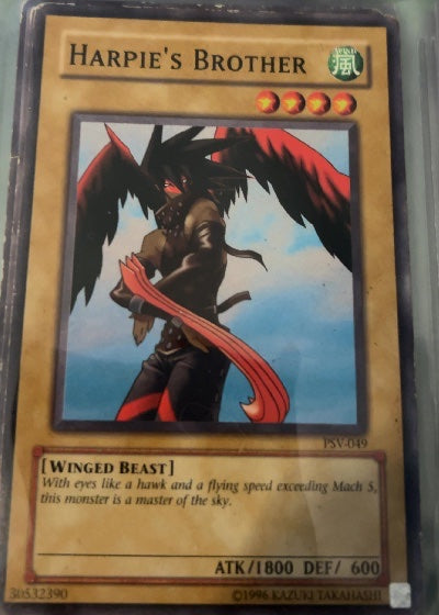 Harpie's Brother