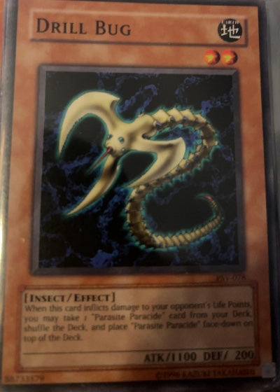 Drill Bug