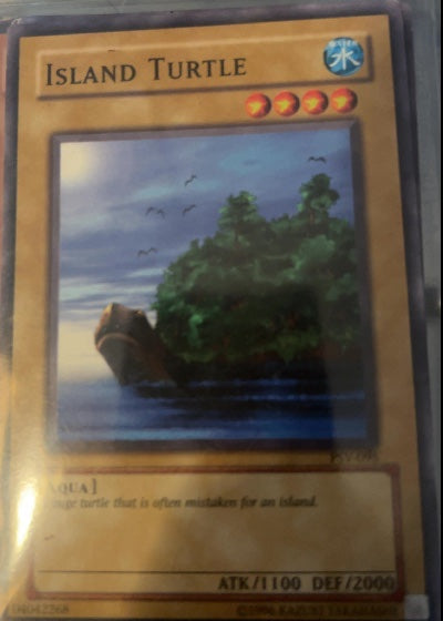 Island Turtle