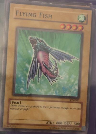 Flying Fish
