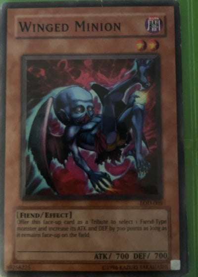 Winged Minion