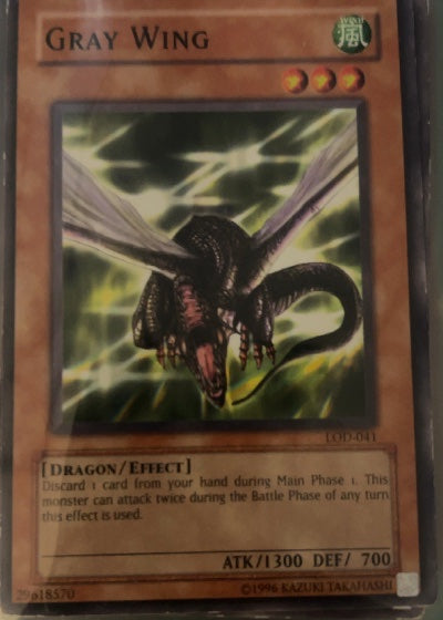 Gray Wing