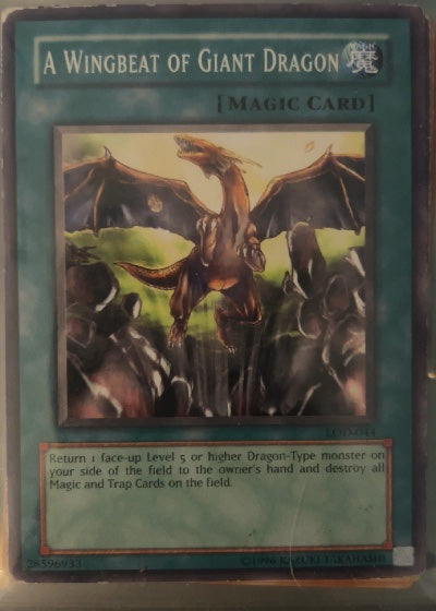 A Wingbeat of Giant Dragon
