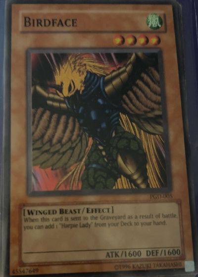 Birdface