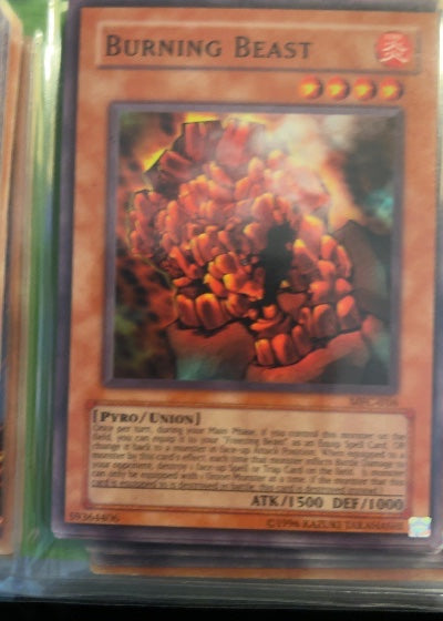 Burning Beast
