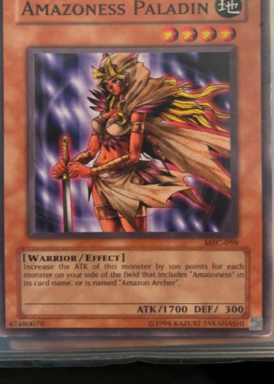 Amazoness Paladin