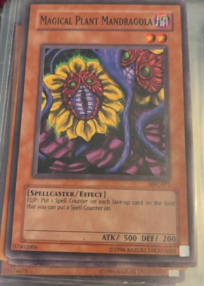 Magical Plant Mandragola