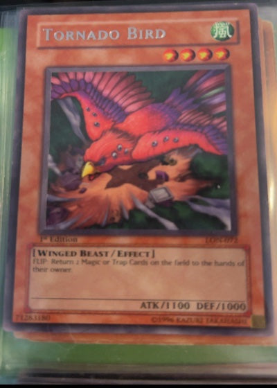 Tornado Bird