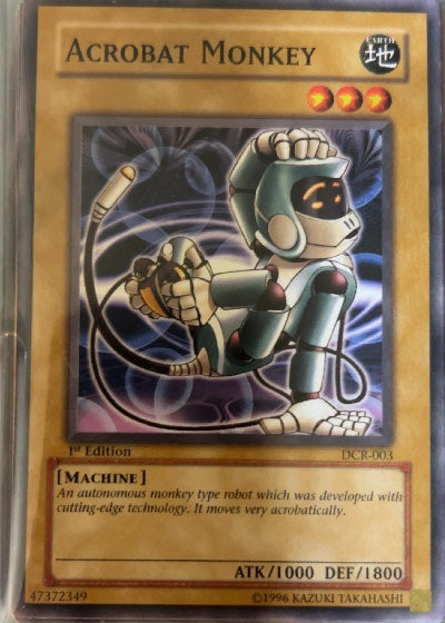 Acrobat Monkey