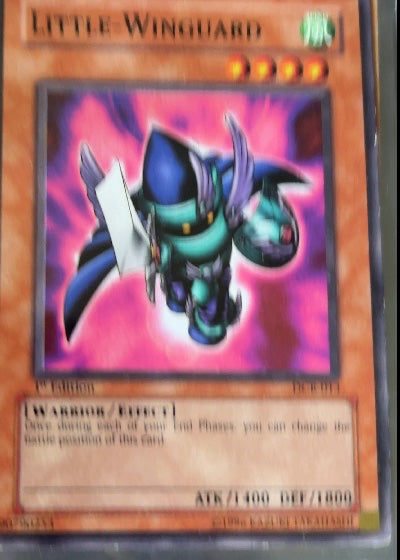 Little-Winguard
