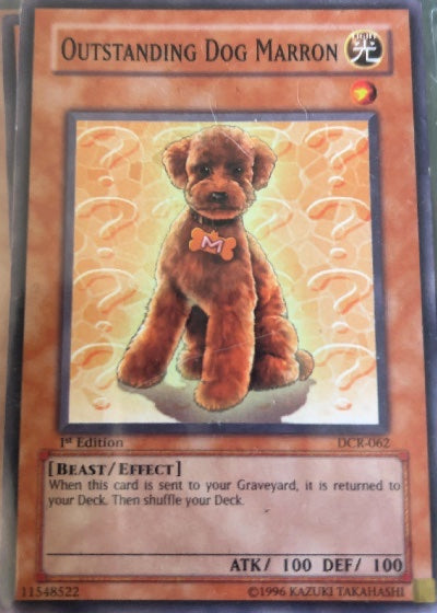 Outstanding Dog Marron