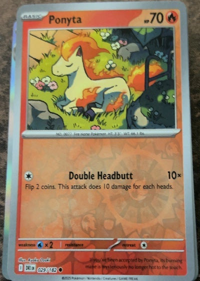 Ponyta