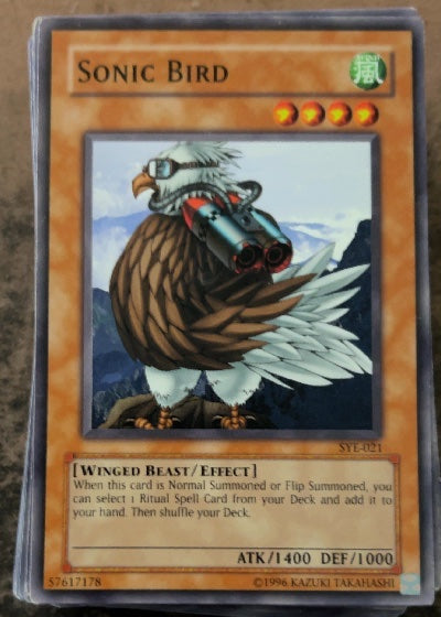 Sonic Bird