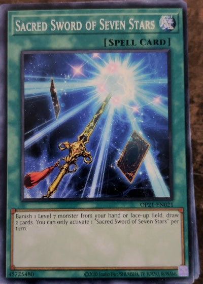 Sacred Sword of Seven Stars