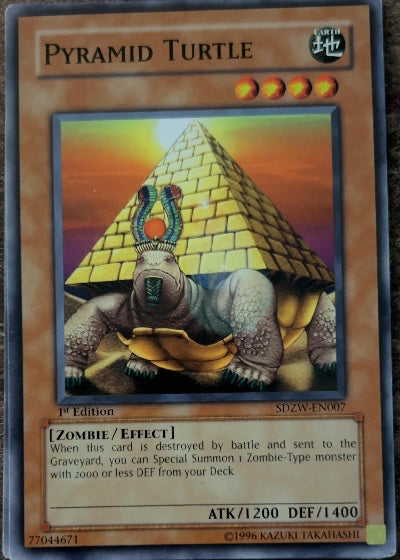 Pyramid Turtle