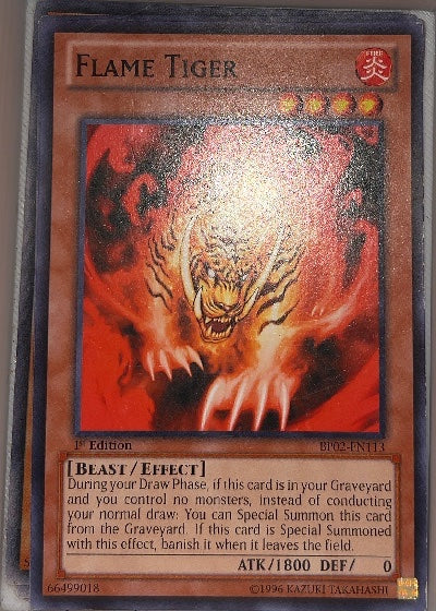 Flame Tiger
