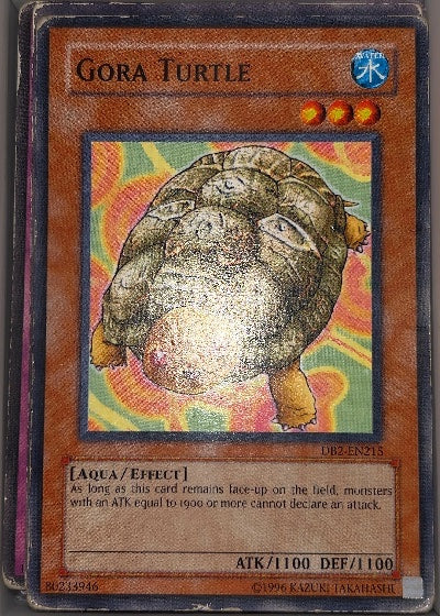 Gora Turtle