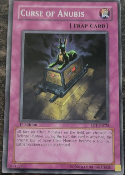 Curse of Anubis